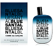 Blue Santal Comme des Garcons